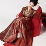 Traditional Chinese Wedding Dresses Tang Style Hanfu