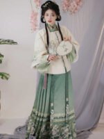 Traditional Chinese Winter Clothing Ming Dynasty Hanfu - Image 3