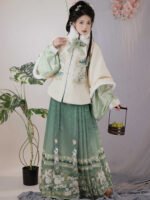 Traditional Chinese Winter Clothing Ming Dynasty Hanfu - Image 4