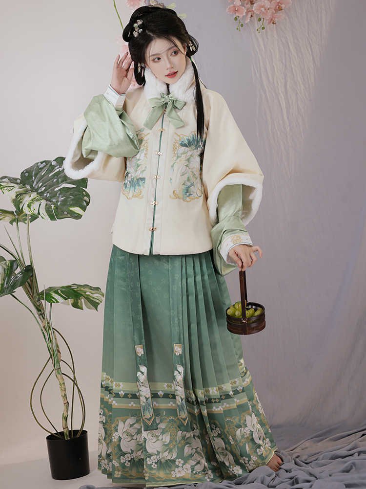 Traditional Chinese Winter Clothing Ming Dynasty Hanfu