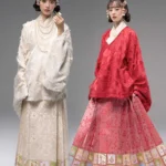 Traditional Dress for Chinese New Year Hanfu Set