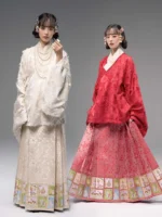 Traditional Dress for Chinese New Year Hanfu Set