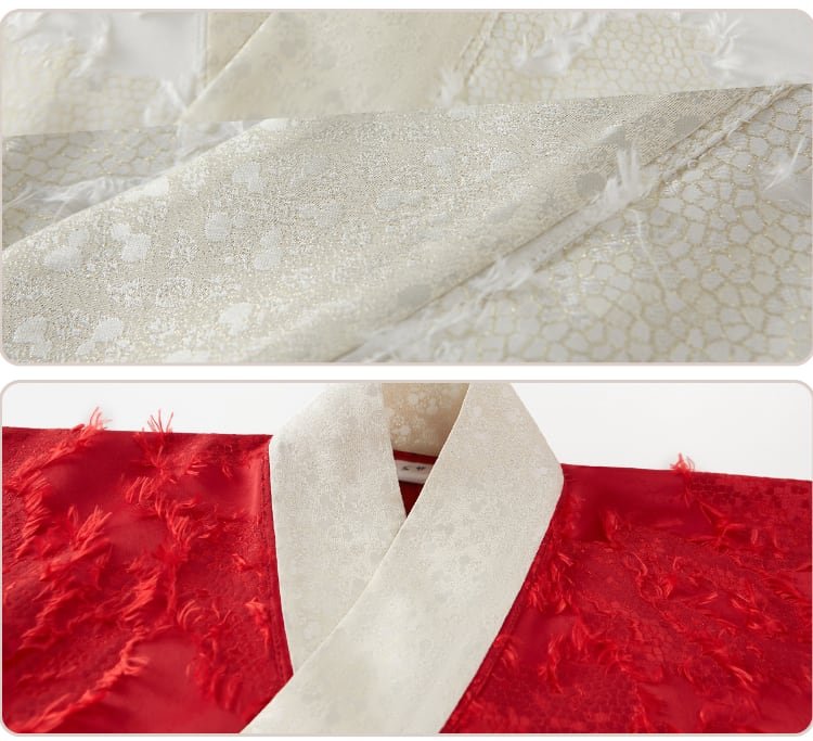 Traditional Dress for Chinese New Year Hanfu Set