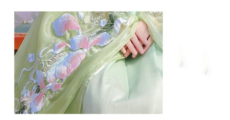 Women Embroidery Hanfu Outfits Chinese Tang Dynasty Dress