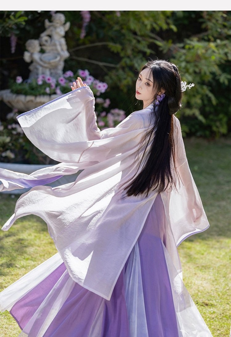 Women Purple Hanfu Chinese Song Dynasty Fashion Dress