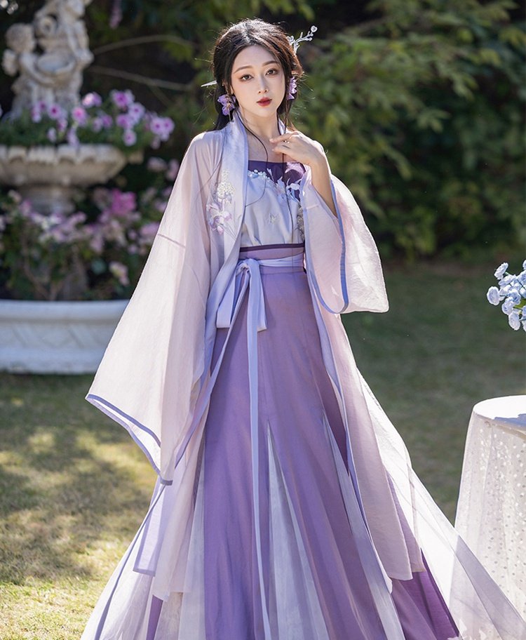 Women Purple Hanfu Chinese Song Dynasty Fashion Dress