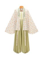 Womens Summer Outfits Ming Style Fashion Hanfu - Image 5