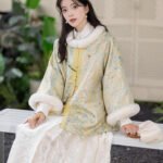 Women’s Winter Dress Coats Ming Style Hanfu