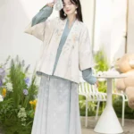 Women’s Winter Dress Ming Dynasty Modern Hanfu