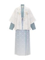 Women’s Winter Dress Ming Dynasty Modern Hanfu - Image 5