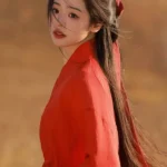 Ancient Chinese Clothes Wuxia Cosplay Costume