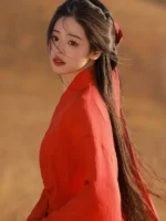 Ancient Chinese Clothes Wuxia Cosplay Costume