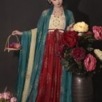 Ancient Chinese Dress Tang Dynasty Hanfu Female