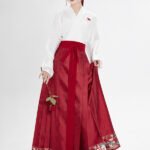 Song Style Blouse Ming Style Modern Hanfu Skirt