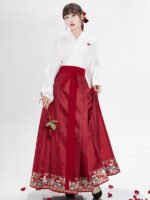 Song Style Blouse Ming Style Modern Hanfu Skirt