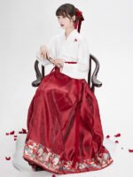 Song Style Blouse Ming Style Modern Hanfu Skirt - Image 2