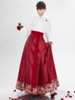 Song Style Blouse Ming Style Modern Hanfu Skirt - Image 3