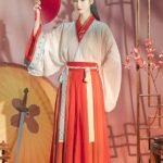 Chinese Cosplay Costume Wuxia Hanfu Female