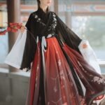 China Traditional Dress Jin Dynasty Hanfu Dress Female