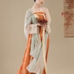 Chinese Dress Ancient Costume Tang Dynasty Hanfu Dress