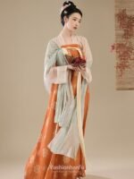 Chinese Dress Ancient Costume Tang Dynasty Hanfu Dress