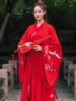 Chinese Traditional Dress Hanfu cosplay costume Female - Image 3