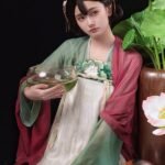 Traditional Chinese Hanfu Dress Female