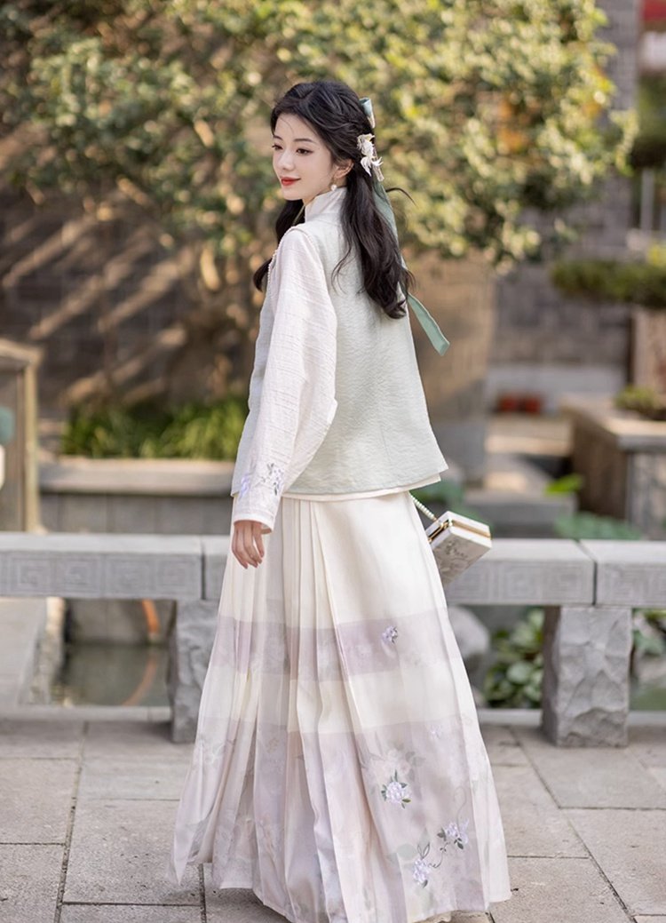 Chinese Hanfu Ming Dynasty Dress