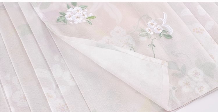 Chinese Hanfu Ming Dynasty Dress