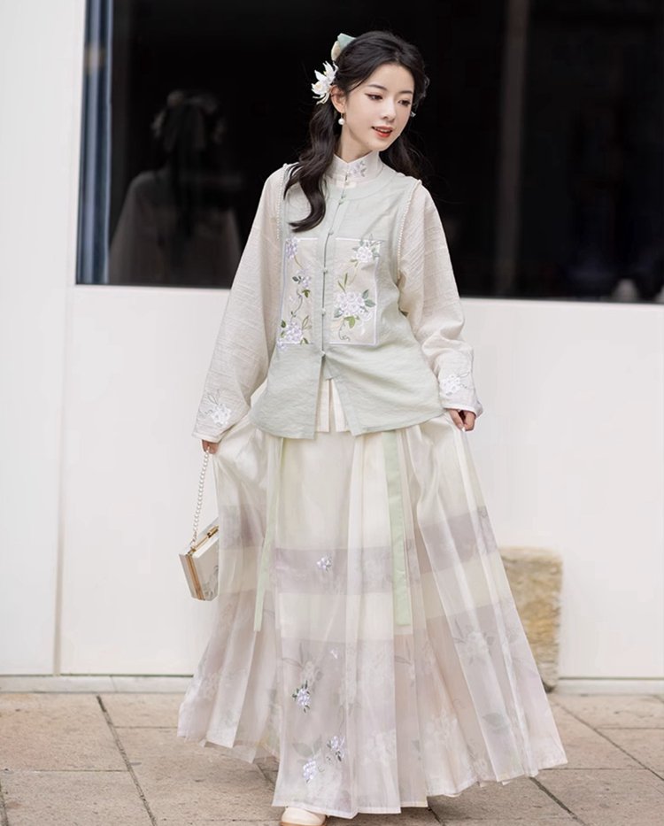 Chinese Hanfu Ming Dynasty Dress