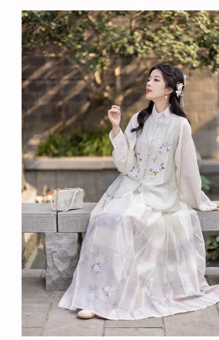 Chinese Hanfu Ming Dynasty Dress