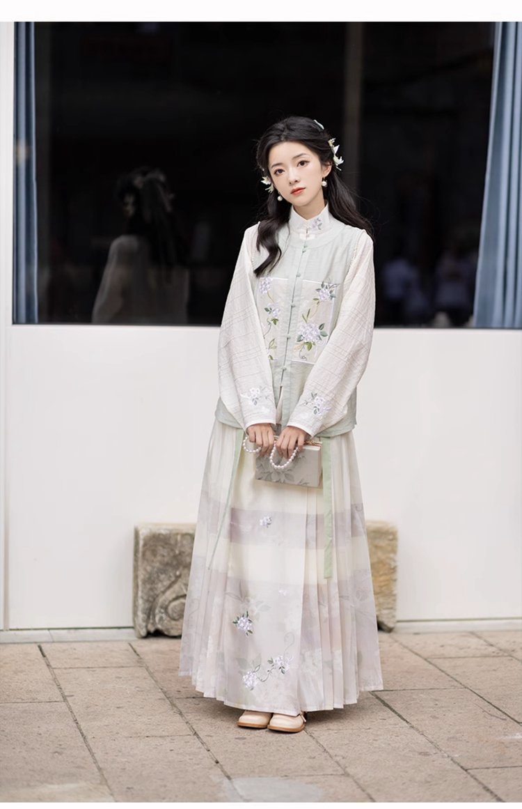 Chinese Hanfu Ming Dynasty Dress