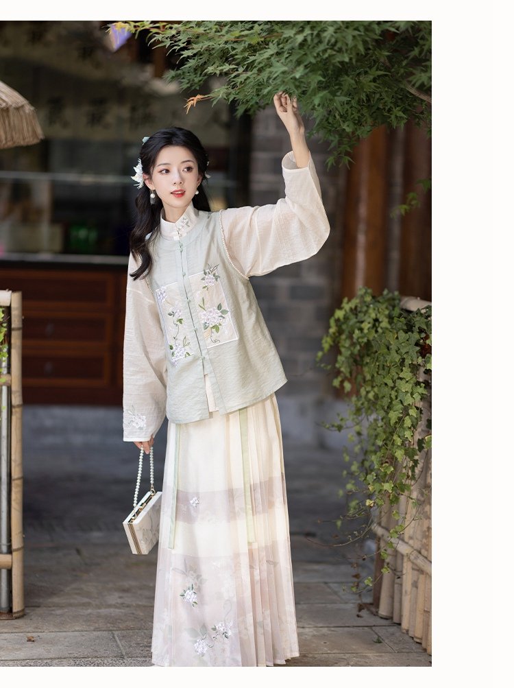 Chinese Hanfu Ming Dynasty Dress