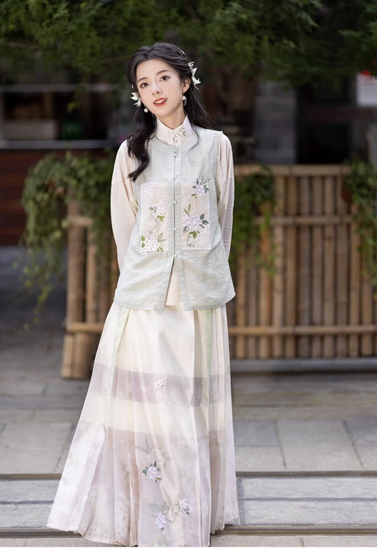 Chinese Hanfu Ming Dynasty Dress