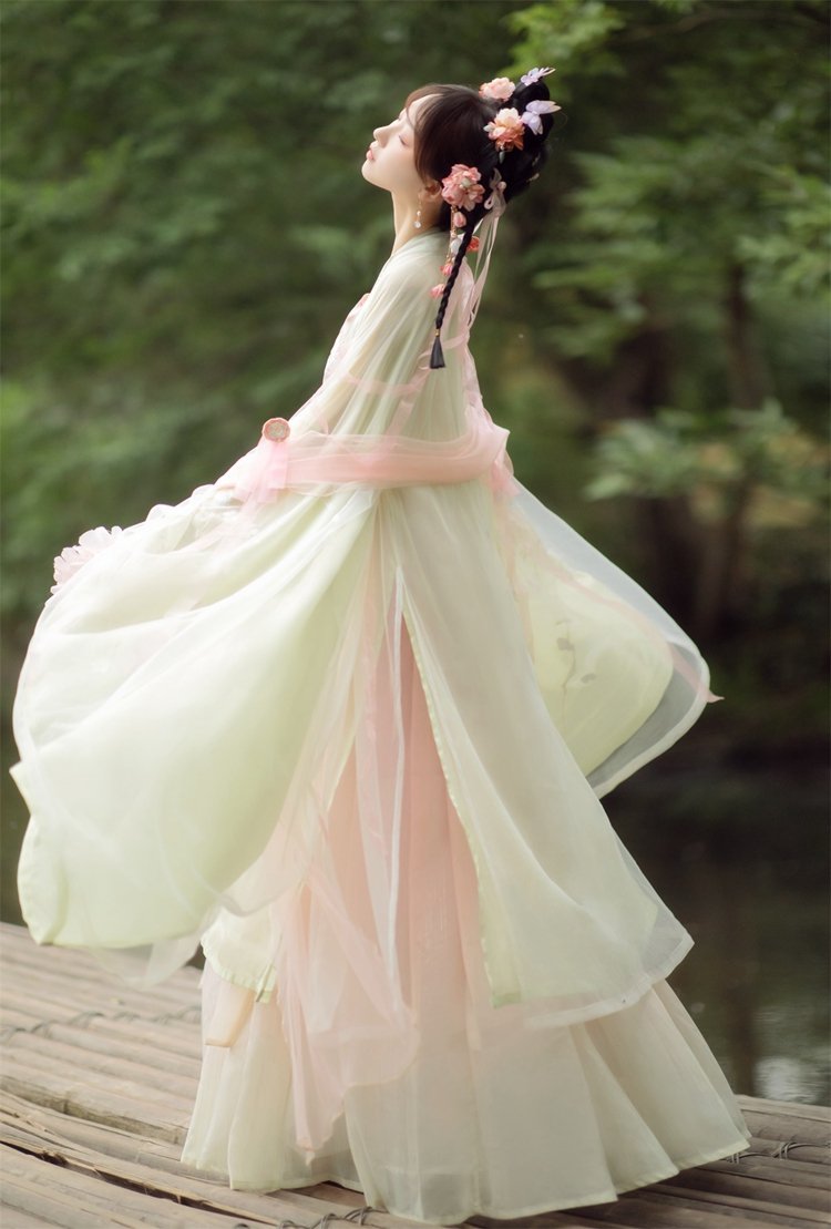 Chinese Hanfu Ruqun Dress