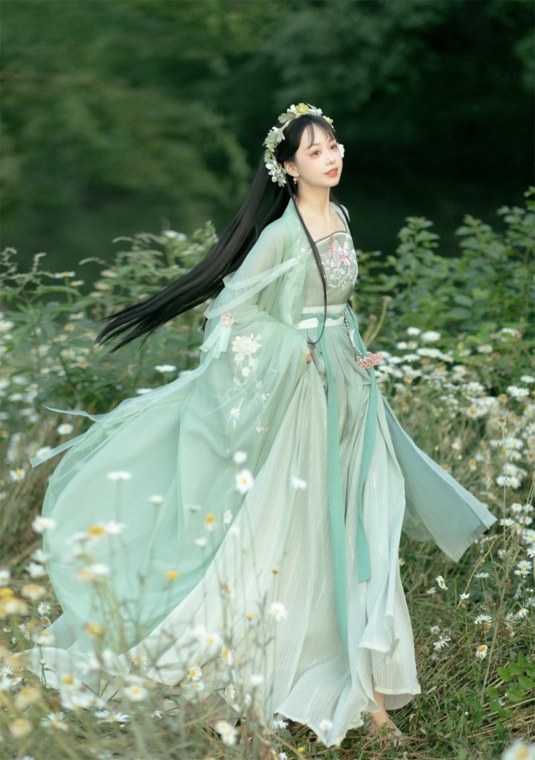 Chinese Hanfu Ruqun Dress