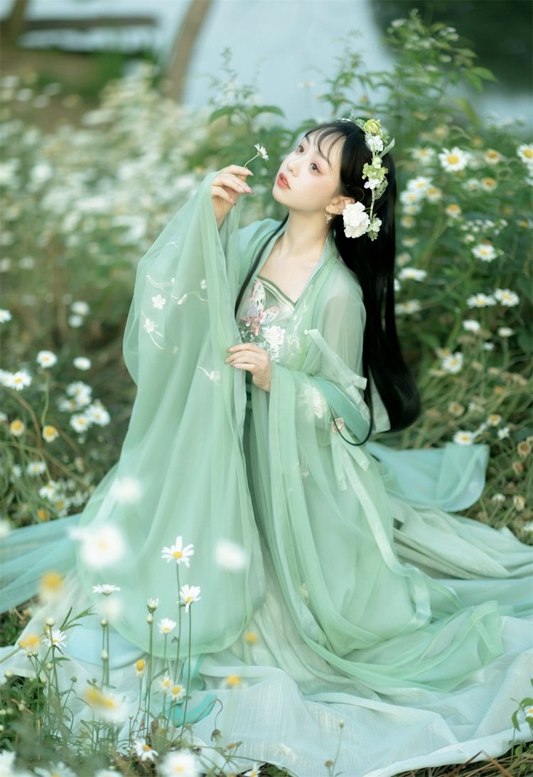 Chinese Hanfu Ruqun Dress