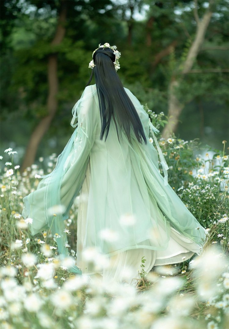 Chinese Hanfu Ruqun Dress