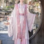 Ancient Chinese Traditional Dress Women’s Embroidered Cosplay Costume