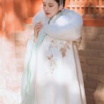 Chinese Style Winter Cape With Hood White Long Cloaks