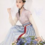 Chinese Ancient Costume Daily Hanfu Woman