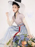 Chinese Ancient Costume Daily Hanfu Woman