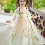 Ethereal Chinese Girl Dress Embroidery Fairy Hanfu Costume