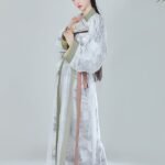 Fashion Hanfu Chinese Traditional Dress Chinese Attire Female