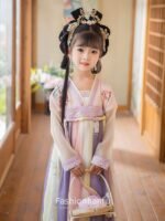 Fashion Hanfu Chinese Dress for Girls Summer Dress 2 Colors - Image 6