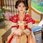 Fashion Hanfu Chinese Girl Clothes Embroidery Princess Cosplay Dress