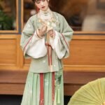 Fashion Hanfu Ming Dynasty Hanfu Dress Female