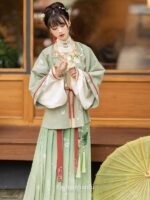 Fashion Hanfu Ming Dynasty Hanfu Dress Female