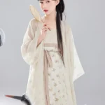 Fashion Hanfu Chinese Style Dresses Hanfu Style Embroidered Dress