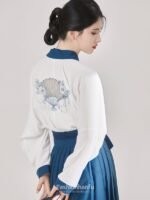 Fashion Hanfu Chinese Style Outfit Aircraft Sleeve Embroidered Daily Dress